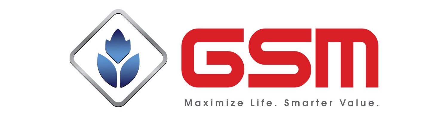 GSM lubricants